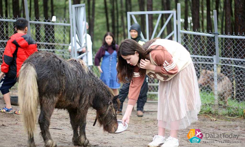 Sở thú ZooDoo Đà Lạt